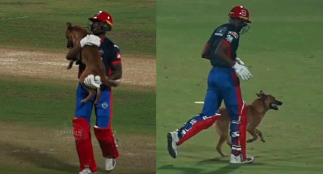 ක්‍රිකට් පිටිය මැදට ආපු බව්වාට ලැබුණු ආදරය